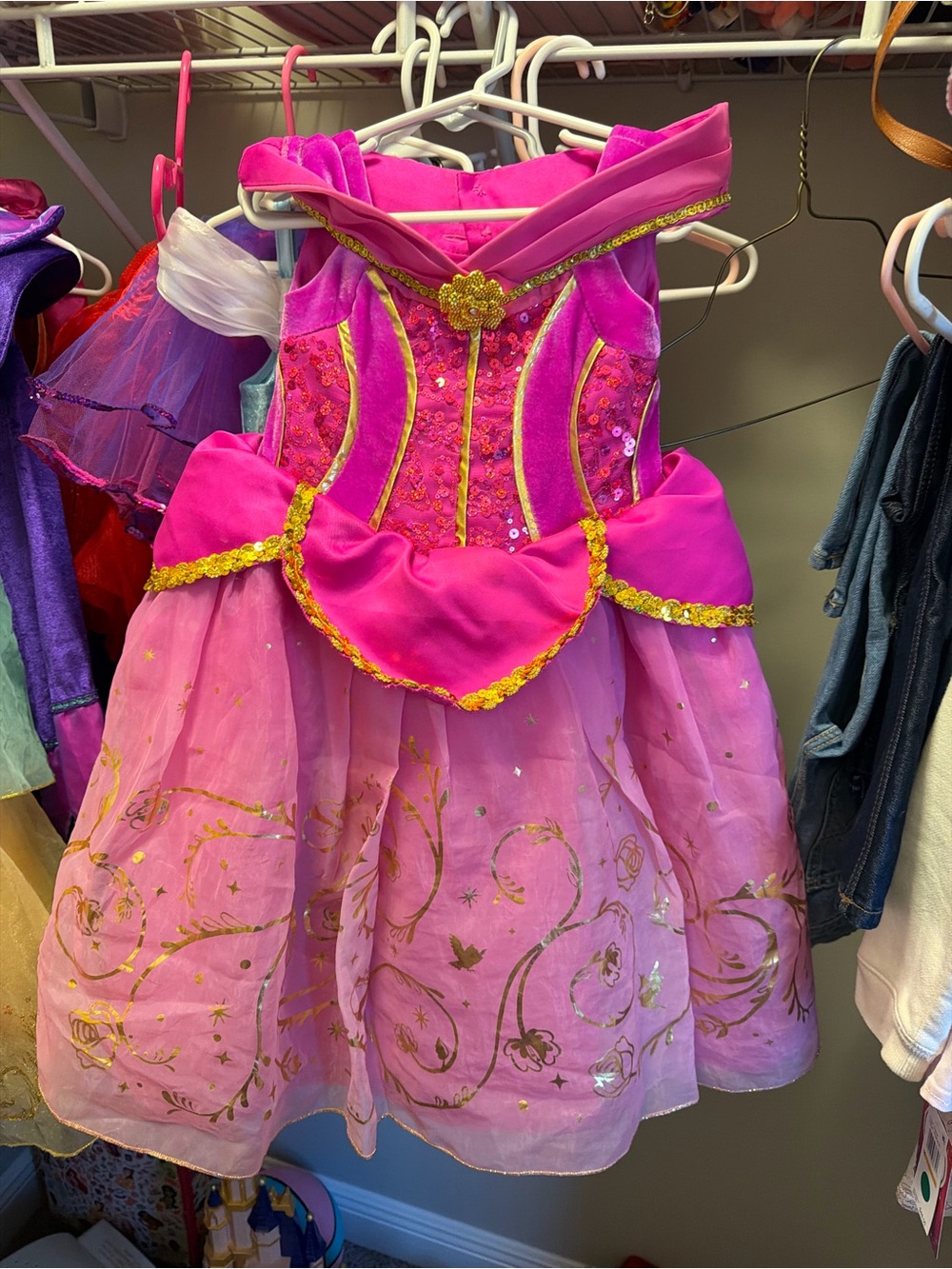 Disney Hot Pink and Light Pink Princess Dress with Gold Trim